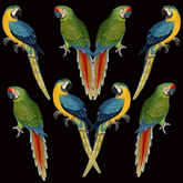 ijustlovethatfabricstore Parrot Love Fabric - macaws on black